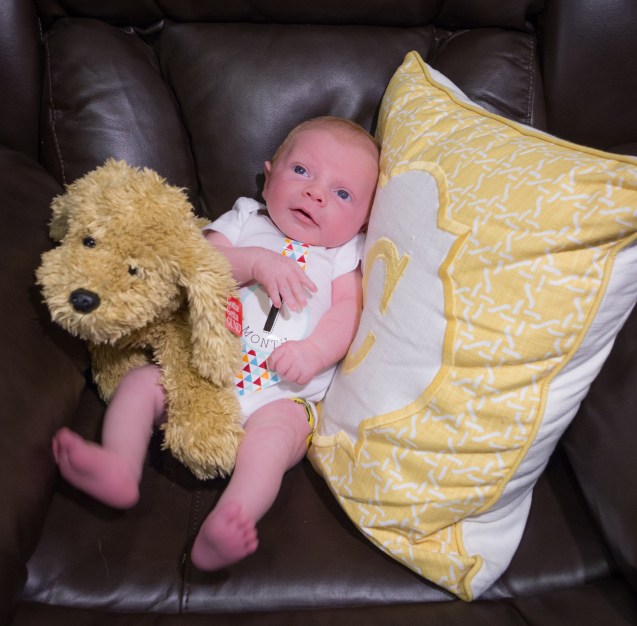 cooper sterne, not so sterne photography, joe sterne, newborn shoot