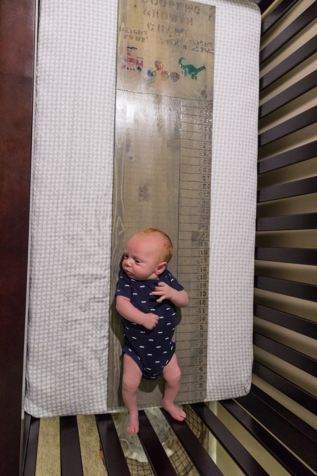 cooper sterne, not so sterne photography, joe sterne, newborn shoot