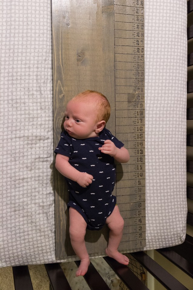 cooper sterne, not so sterne photography, joe sterne, newborn shoot