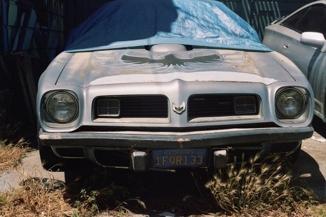 san francisco, mission, flickr photowalk, 35mm film, joe sterne, not so sterne photography