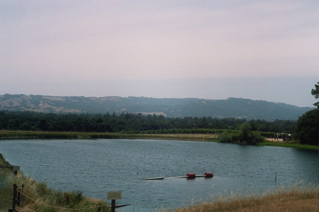 joe sterne, not so sterne photography, san francisco, photowalk, sonoma