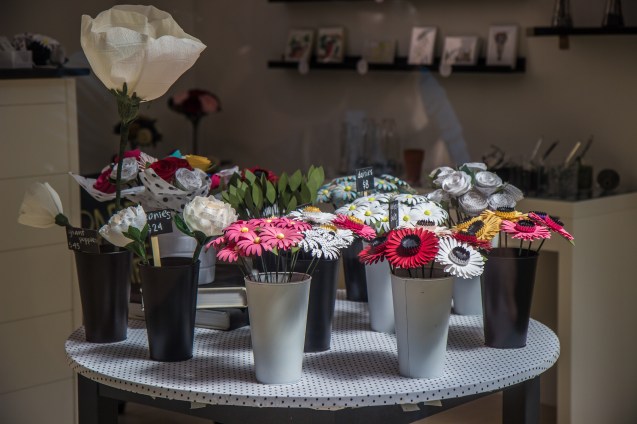 joe sterne, not so sterne photography, cleveland insiders, google local guides, local guides meetup day 2016 