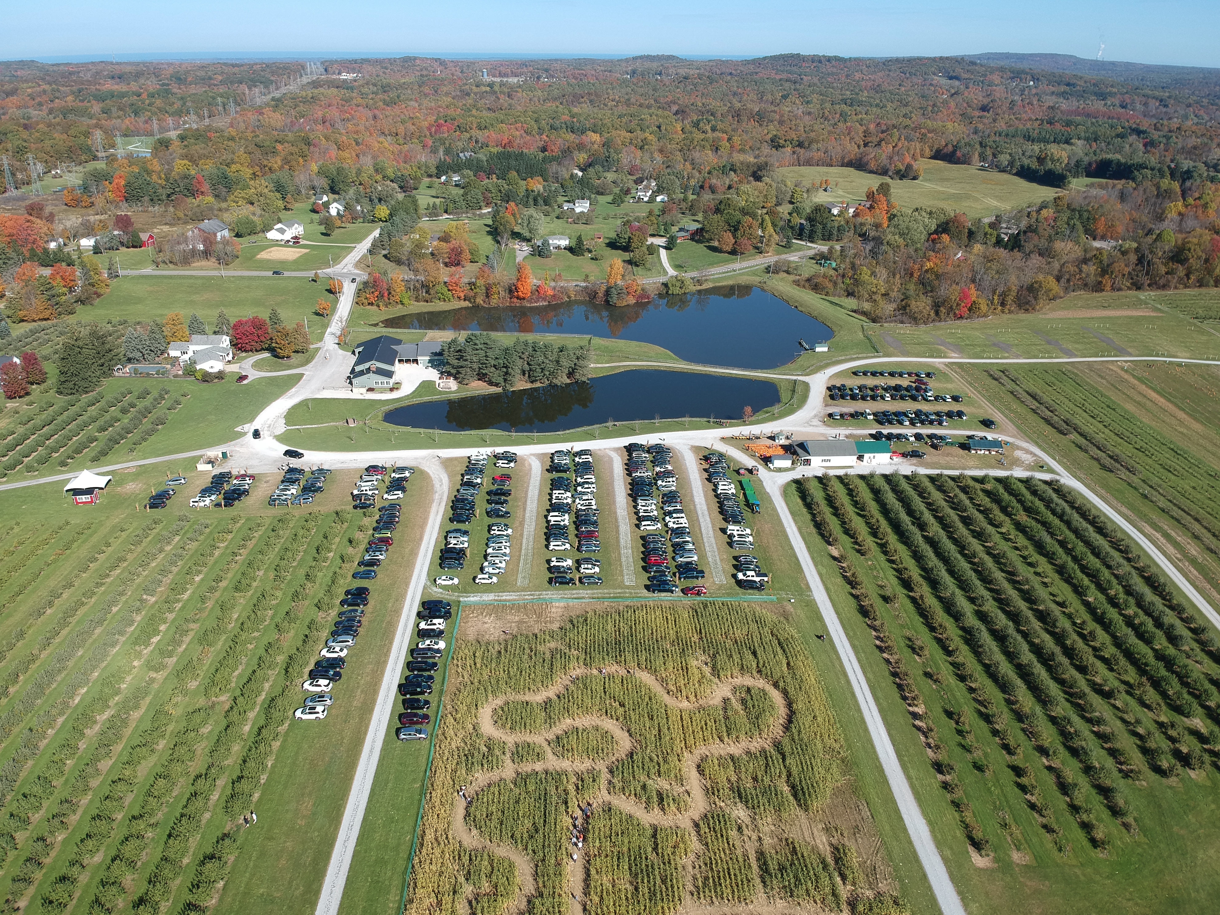 34f28533e555ab02adcbd2a64236ffed