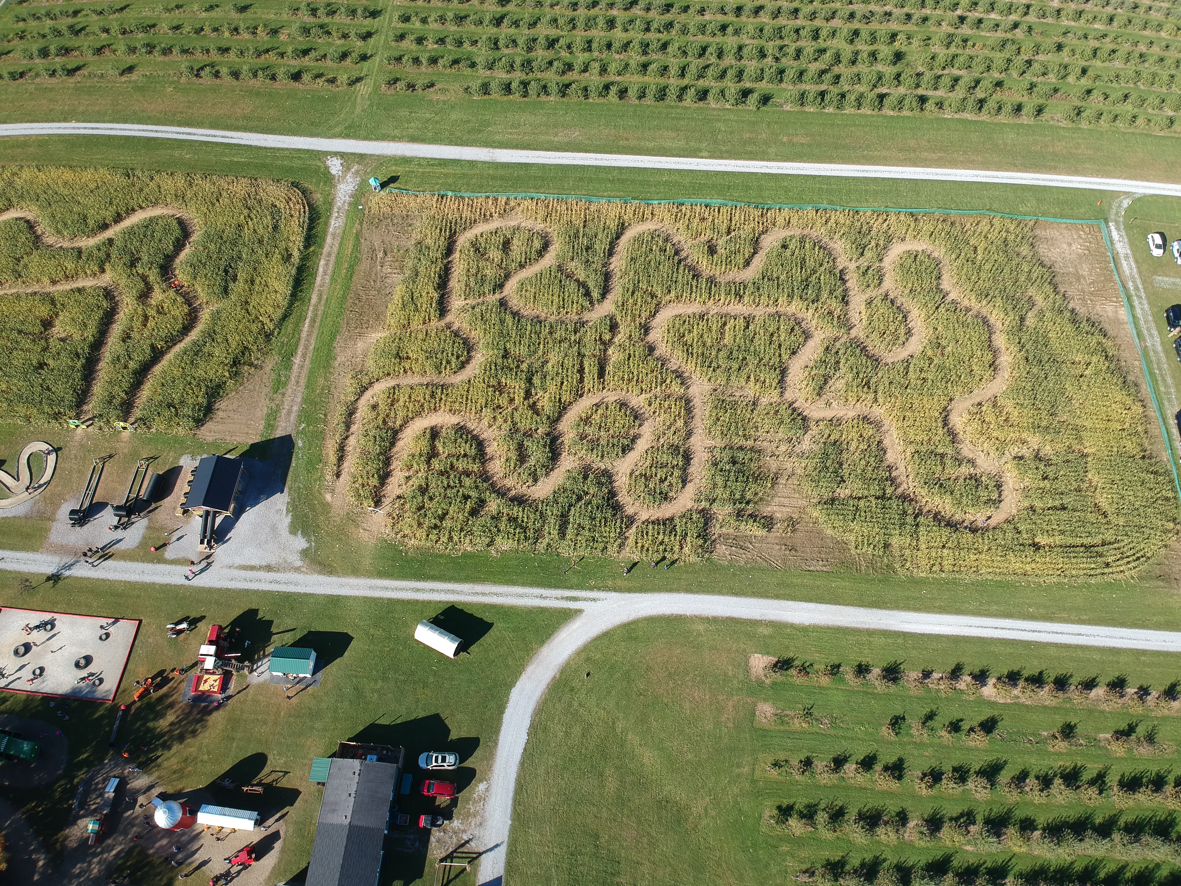 78d018eae881064dde057987a9dba928