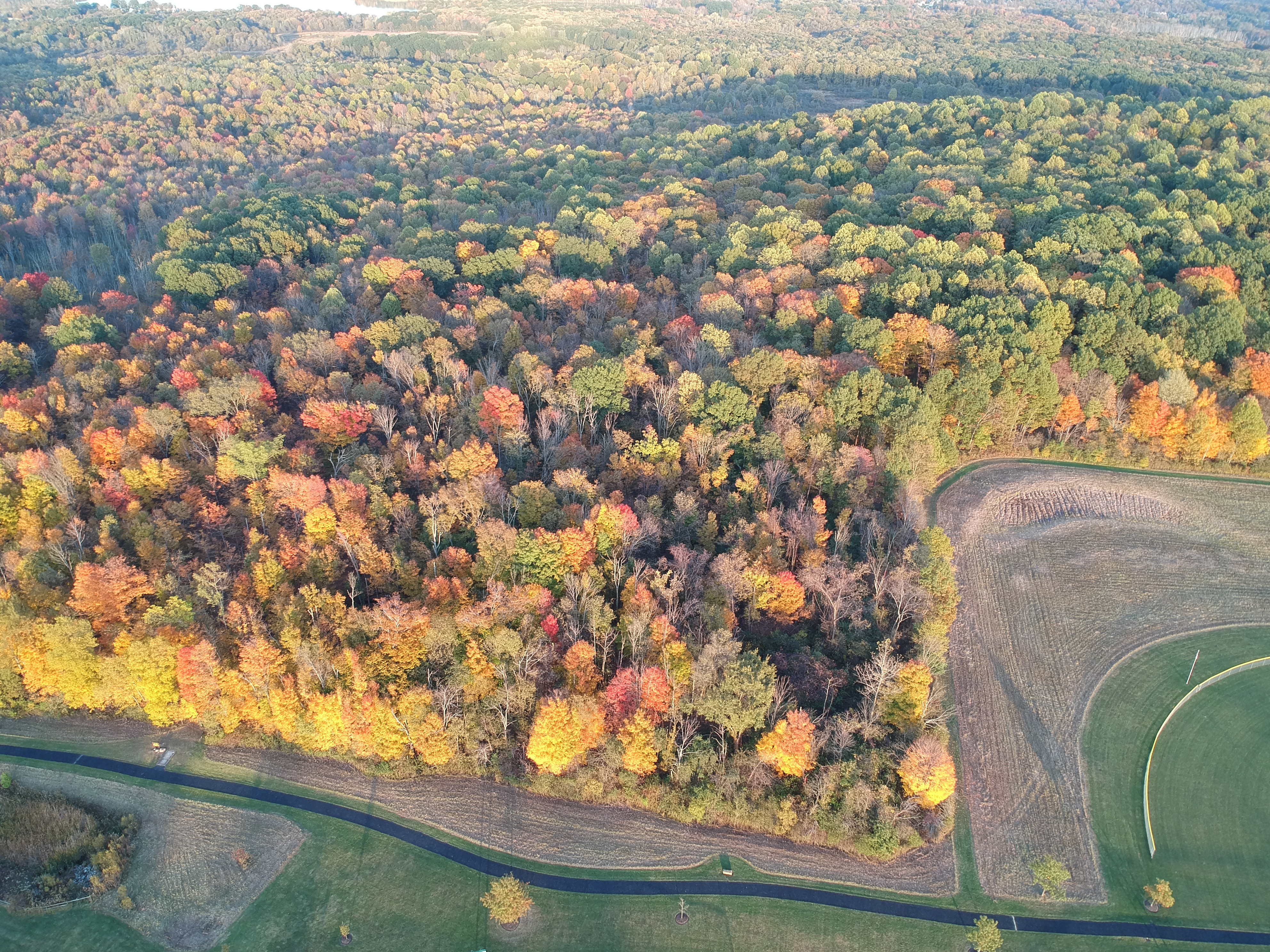 b0d19aa7e070353ce17f3fd94885d702