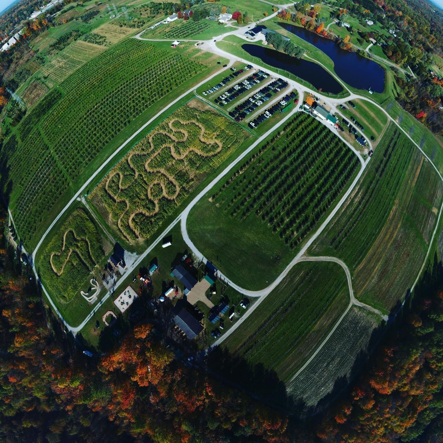 b3a041f6-58de-48d1-a299-31926eff632b